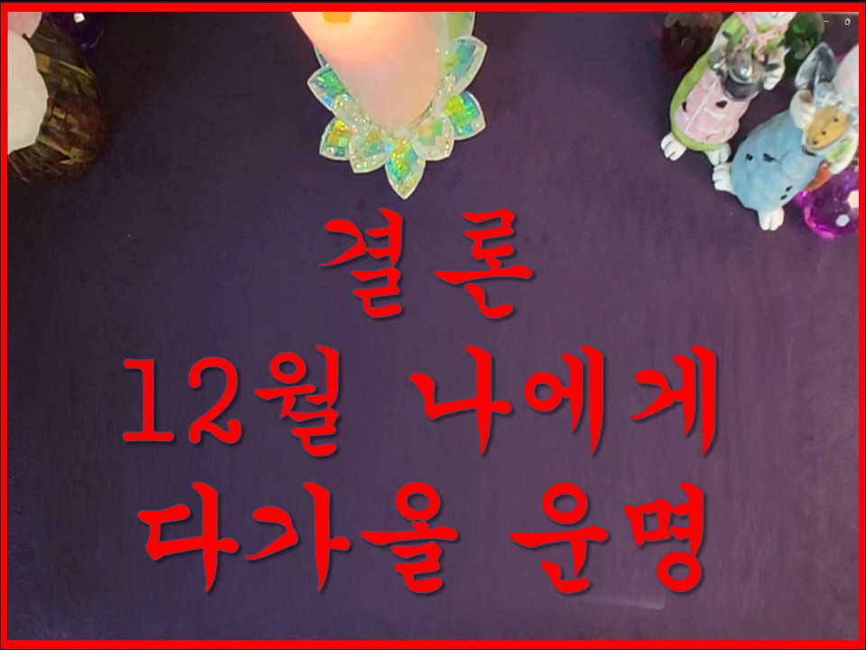 샐리타로 결론 12월 나에게 다가올 운명!