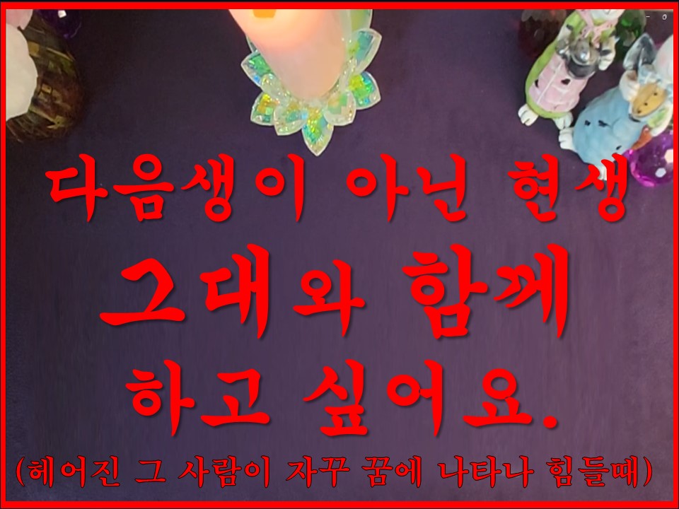 샐리타로 다음생이 아닌 현생 그대와 함께 하고 싶어요.(다섯개 카드 선택)