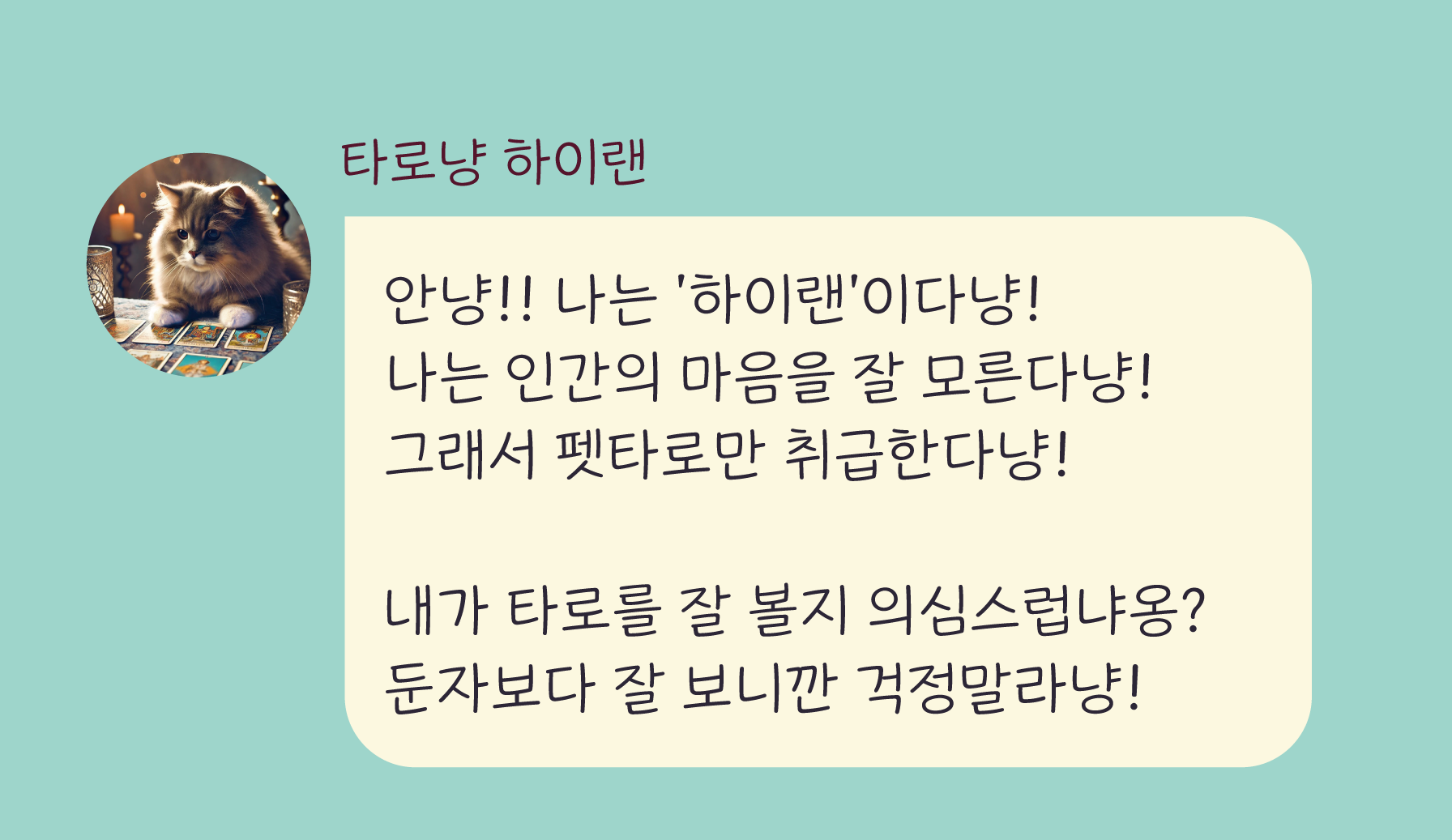 타로냥 하이랜 요즘 나의 반려동물의 기분은 어떨까?🐈🐕