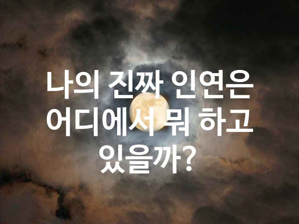 월하타로 나의 진짜 인연은 어디에서 뭐 하고 있을까?