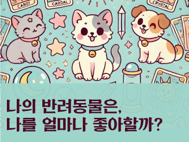 타로냥 하이랜 [펫타로] 정원님의 반려동물이 이따만큼 좋아한대요!