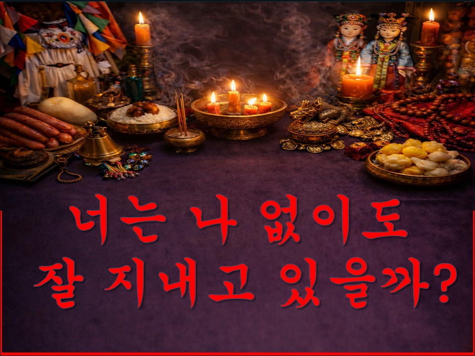 샐리타로 너는 나 없이도 잘 지내고 있을까? #샐리타로