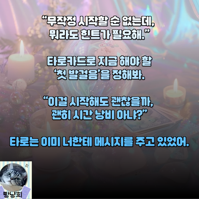 빵냥희 시험 면접 준비전 조언 🃏  합격운