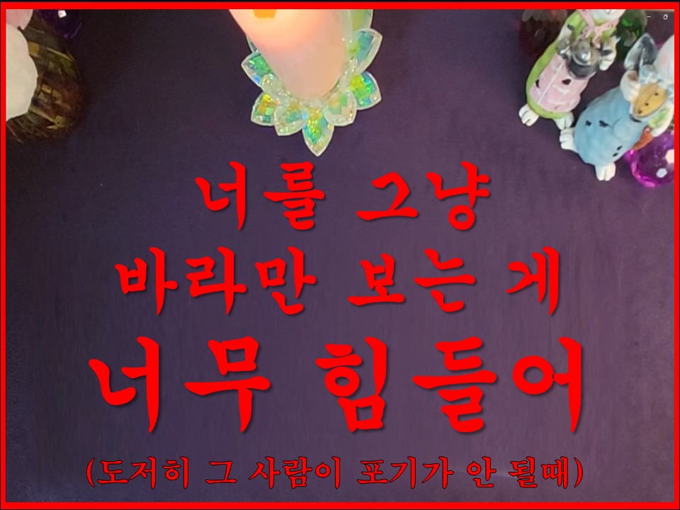 샐리타로 너를 그냥 바라만 보는게 너무 힘들어(다섯개 카드 선택)