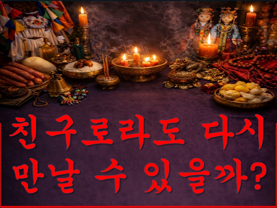 샐리타로 친구로라도 다시 만날 수 있을까?#샐리타로