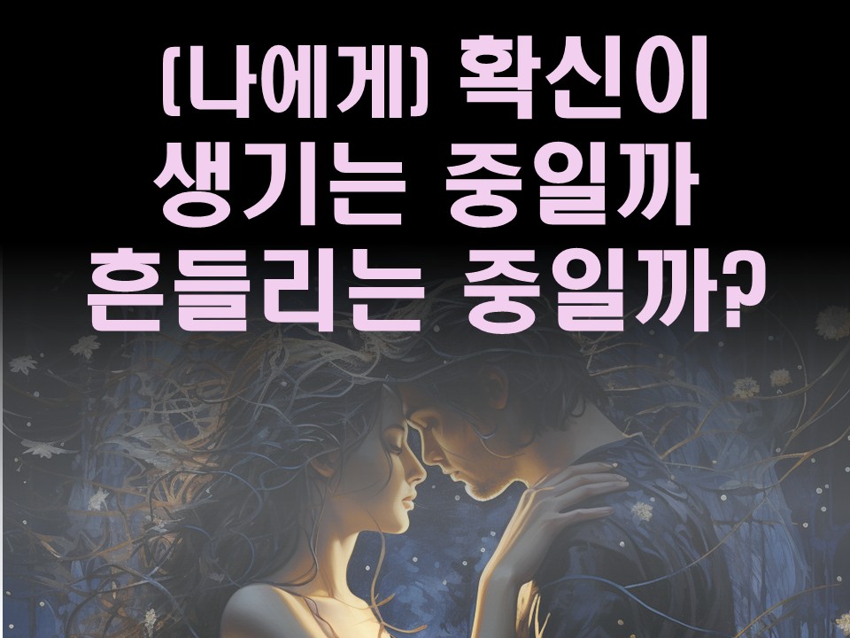 수월화타로 나를 향한 마음, 확신이 생기는 중일까 흔들리는 중일까?