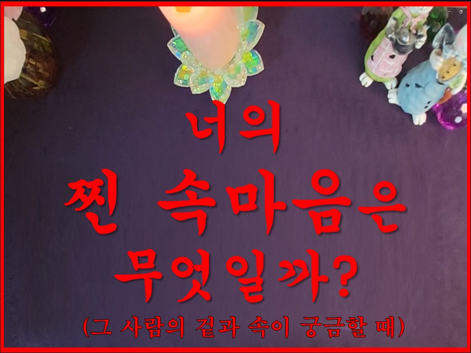 샐리타로 너의 찐 속마음은 무엇일까?