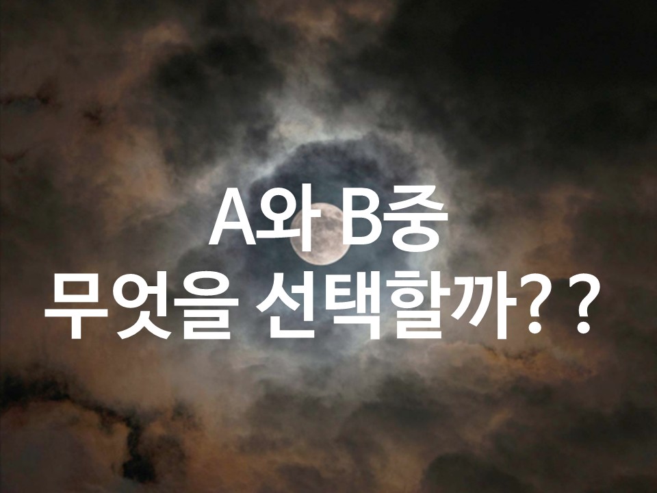 월하타로 A와 B중 무엇을 선택할까??