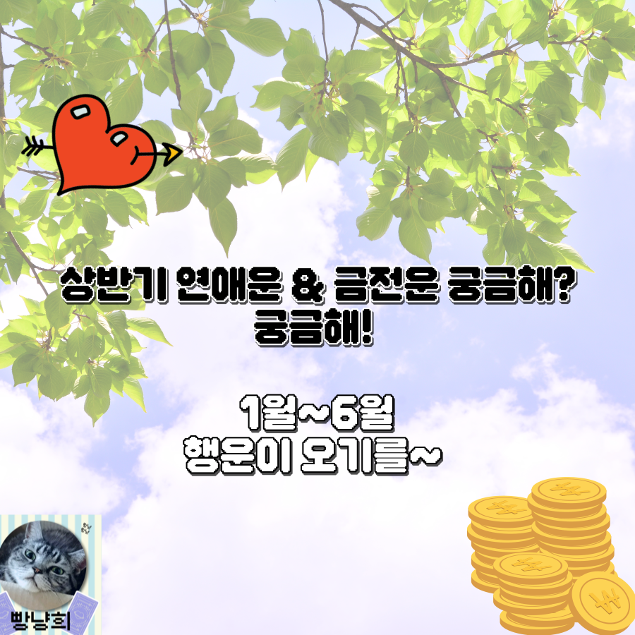 빵냥희 상반기 연애운 & 금전운