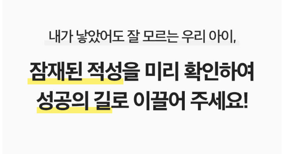 판밍밍 내 아이의 합격운: 인생 피는 진로 풀이