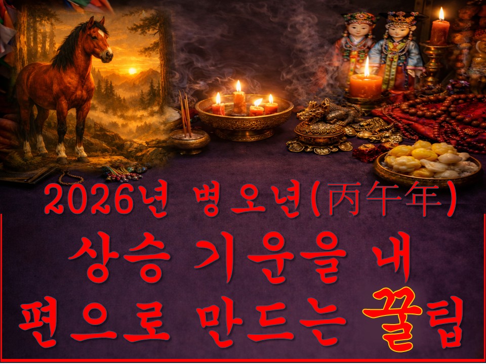 샐리타로 2026년 병오년(丙午年)의  상승 기운을 내 편으로 만드는 꿀팁