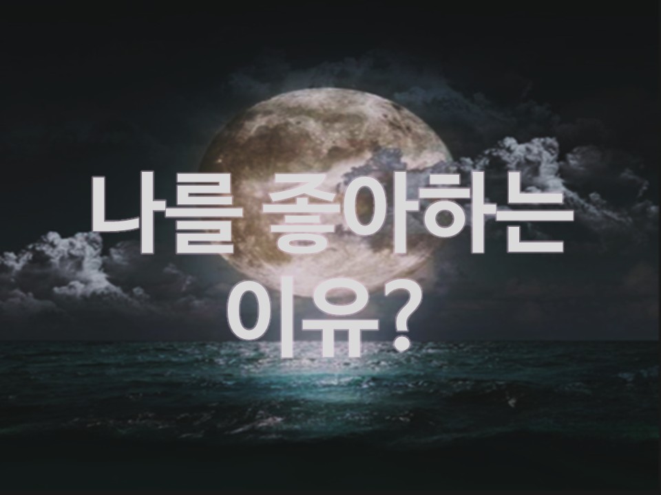 월하타로 나를 좋아하는 이유?