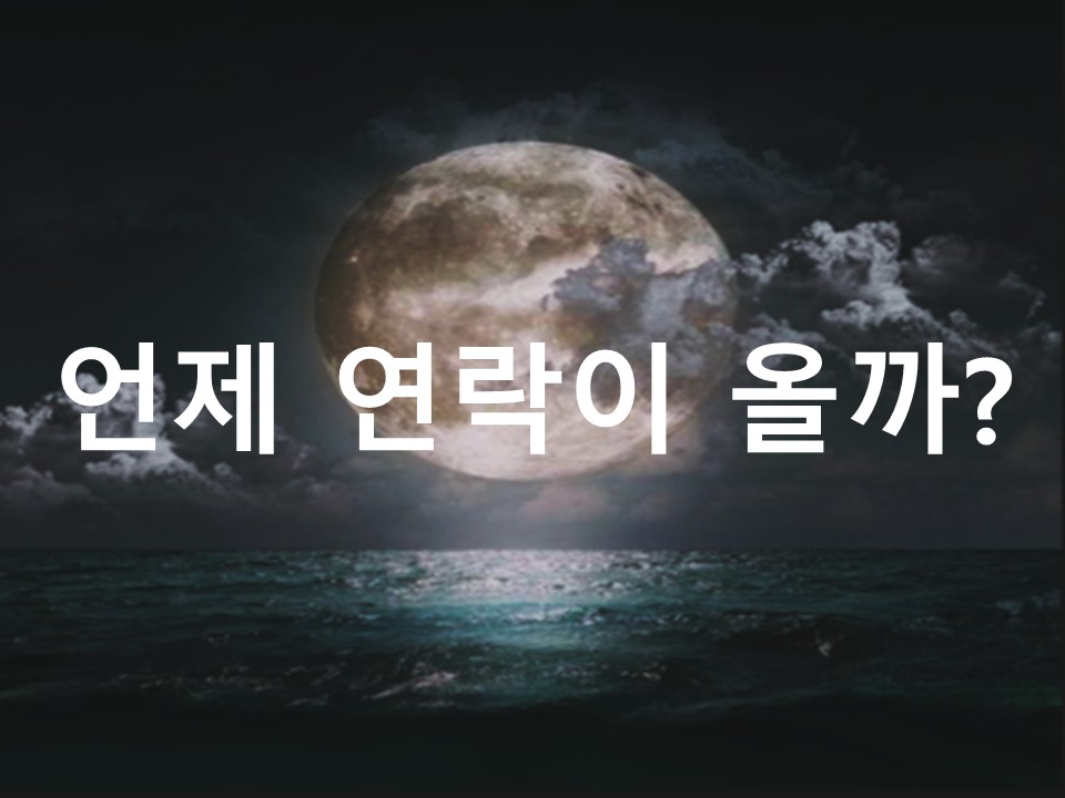 월하타로 언제 연락이 올까?