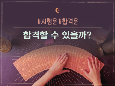 타로마녀 둔자 이번 시험.. 잘 볼 수 있을까?