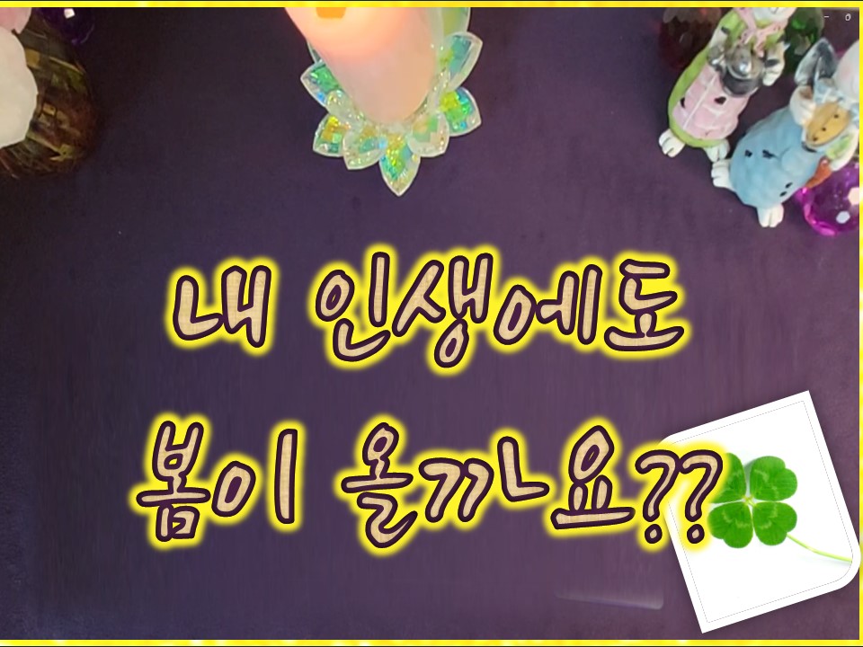 샐리타로 내 인생에도 봄은 올까요?