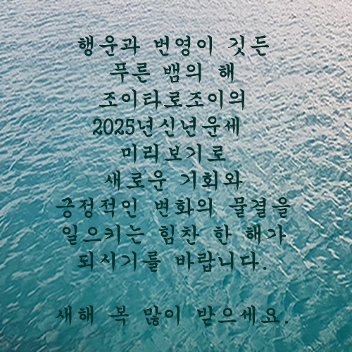 조이타로조이 🐍2025년 🐍신년운세_총운_미리보기_금전_애정_일운_건강_조언
