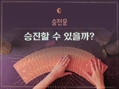 타로마녀 둔자 이번에 승진할 수 있을까..?
