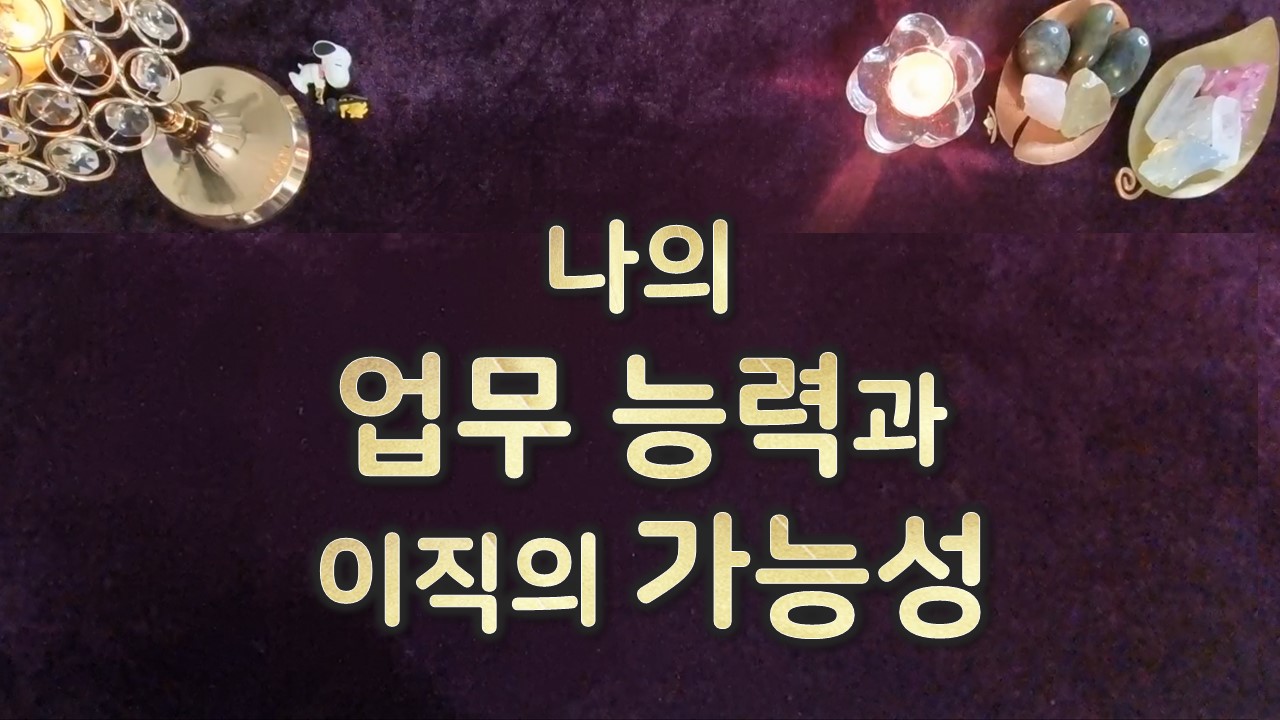 타로라포 나의 업무 능력과 이직의 가능성(3200자이상)