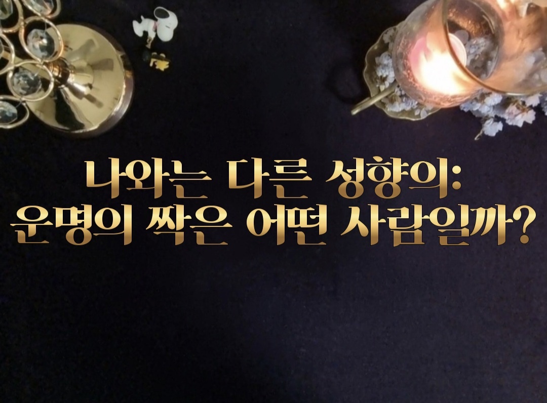 타로라포 🙏나와는 다른 성향의 : 운명의 짝은 어떤 사람일까?(3000자~)