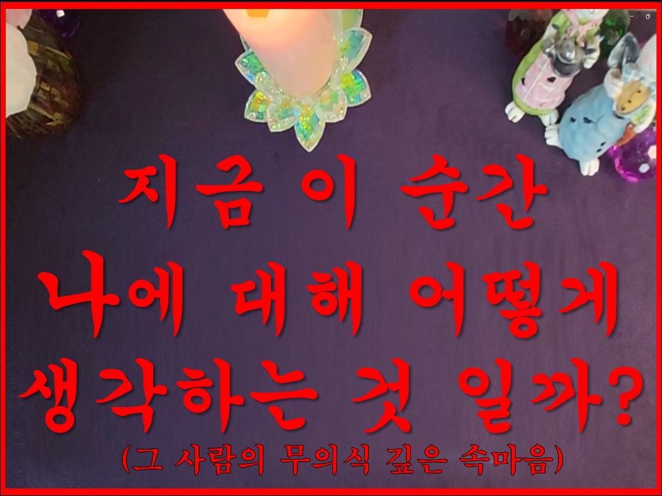샐리타로 지금 이 순간 나에 대해 어떻게 생각하는것일까?