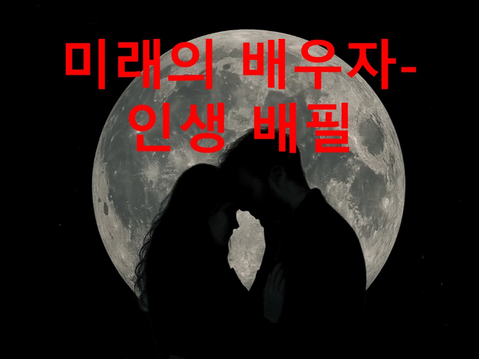 월하타로 미래의 배우자-인생 배필
