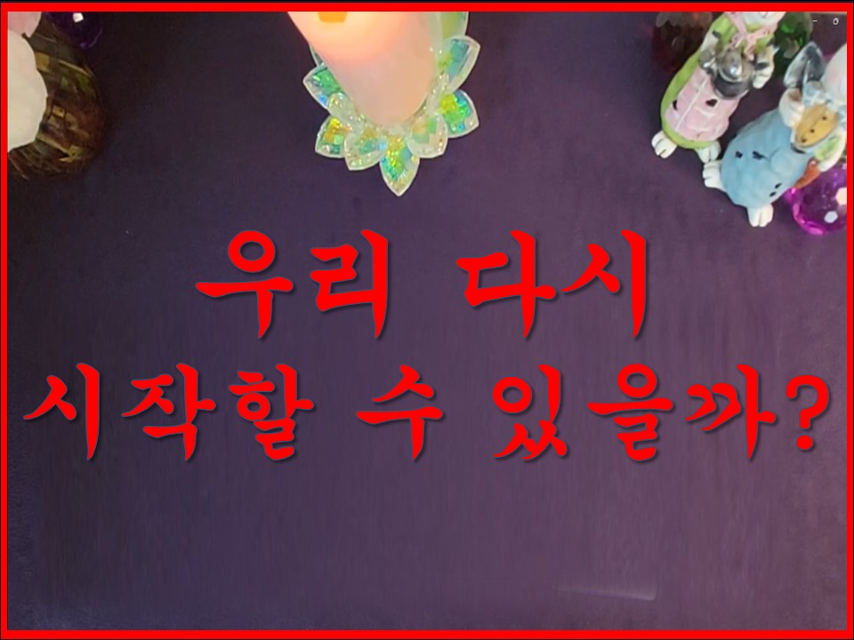 샐리타로 결론 우리 다시 시작할 수 있을까?