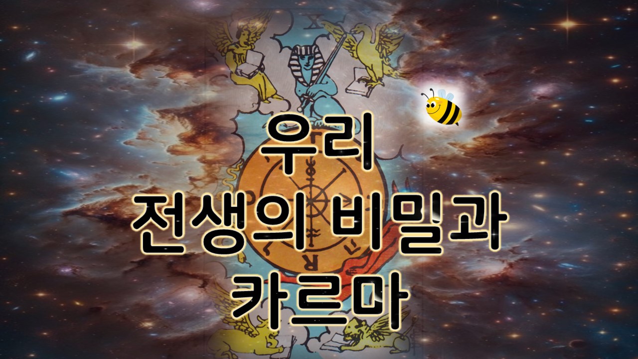 월하타로 우리 전생의 비밀과 카르마 ☸️🪷#허니비타로