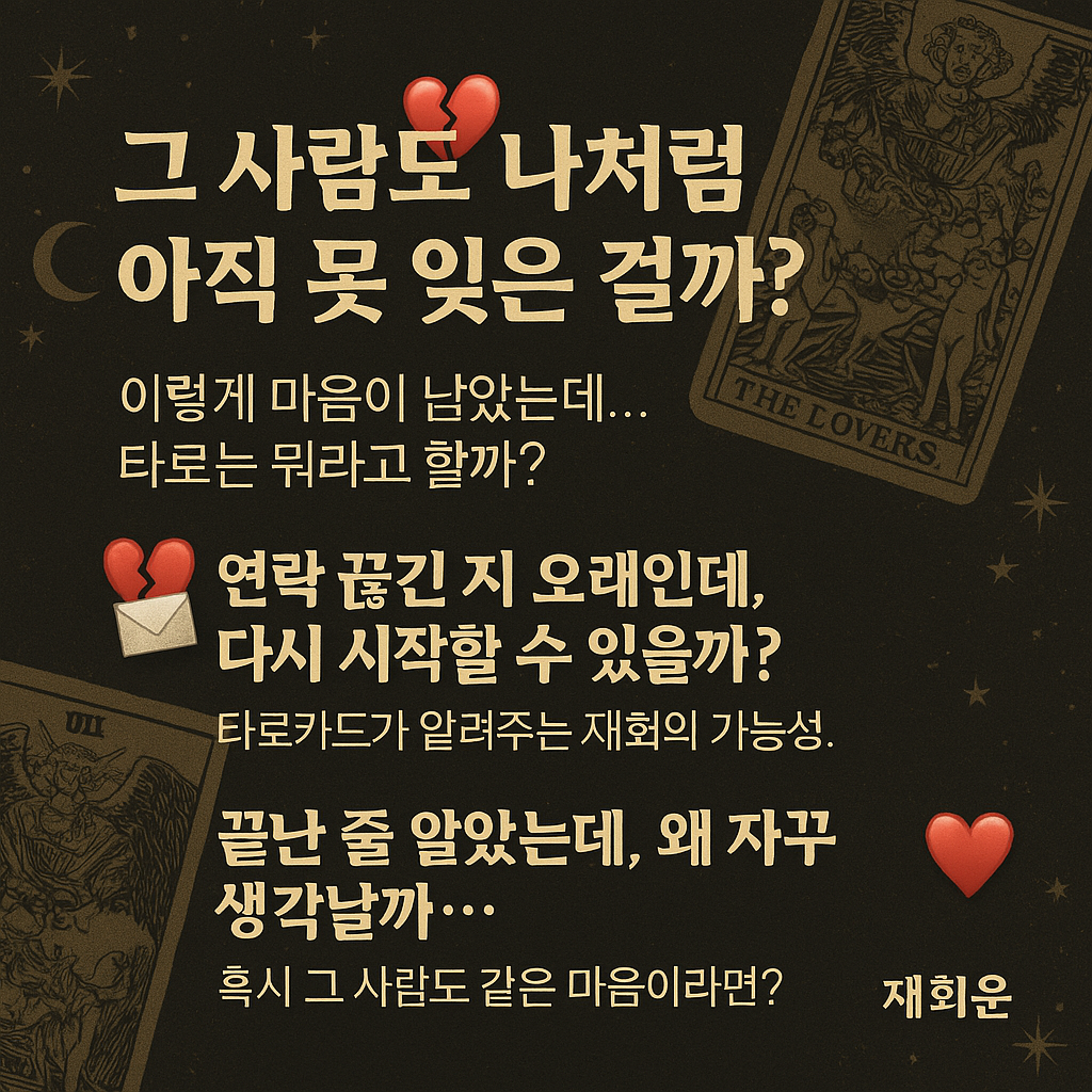 빵냥희 다시 시작? 재회운