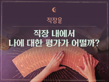 타로마녀 둔자 나는 직장에서 어떤 평가를 받고 있을까?