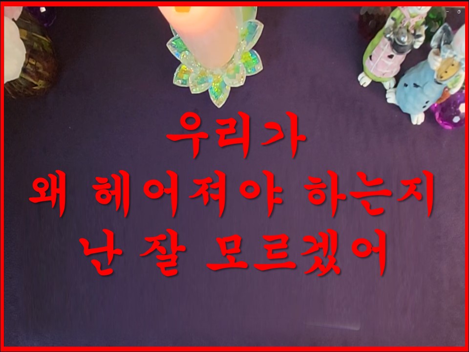 샐리타로 우리가 왜 헤어져야 하는지 난 잘 모르겠어(다섯개 카드 선택)