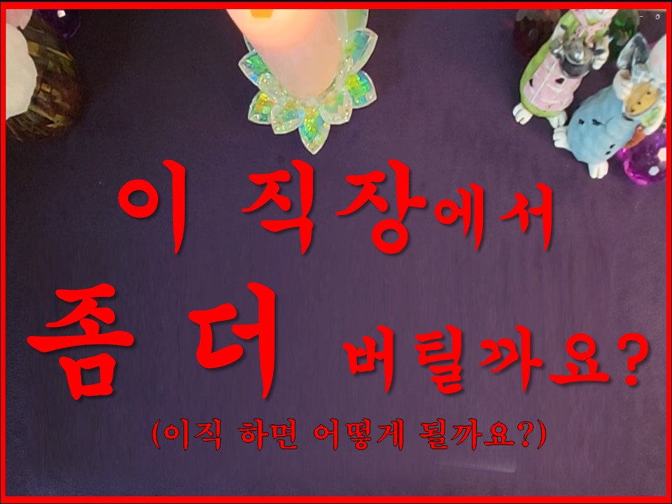 샐리타로 이 직장에서 좀 버틸까요?