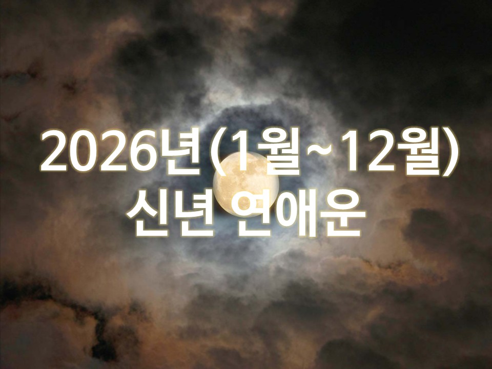월하타로 2026년(1월~12월) 신년 연애운(13개카드)
