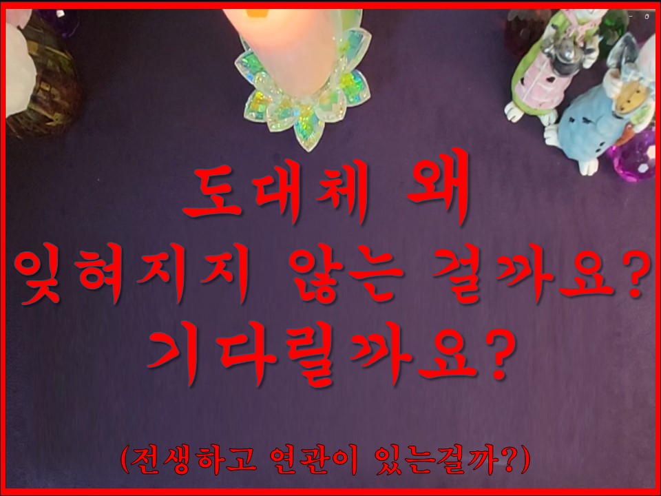샐리타로 도대체 왜 잊혀지지 않는 걸까요?  기다릴까요?