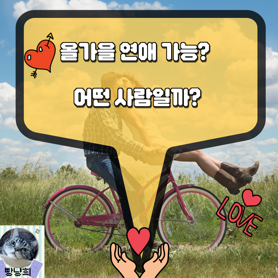 빵냥희 나의 올가을 연애운 🍁