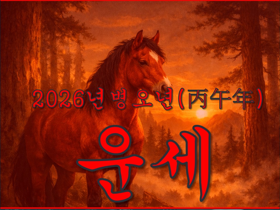샐리타로 "2026년 병오년"  운세 🐴