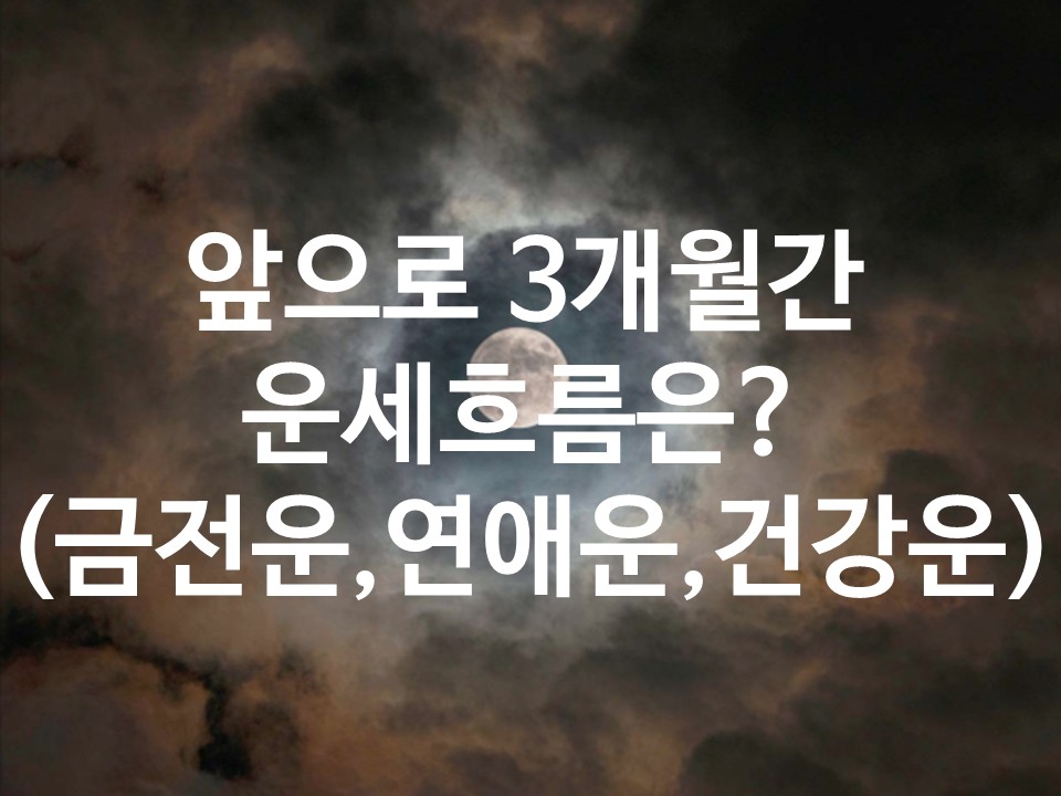 월하타로 앞으로 3개월간 운세흐름은?