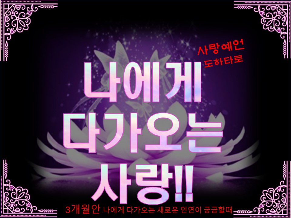 사랑예언도하타로 나에게 다가오는 사랑!! (3개월안에 다가오는 인연)