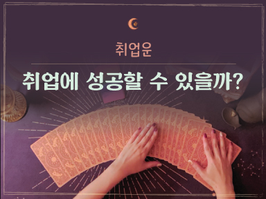 타로마녀 둔자 취업에 성공할 수 있을까?