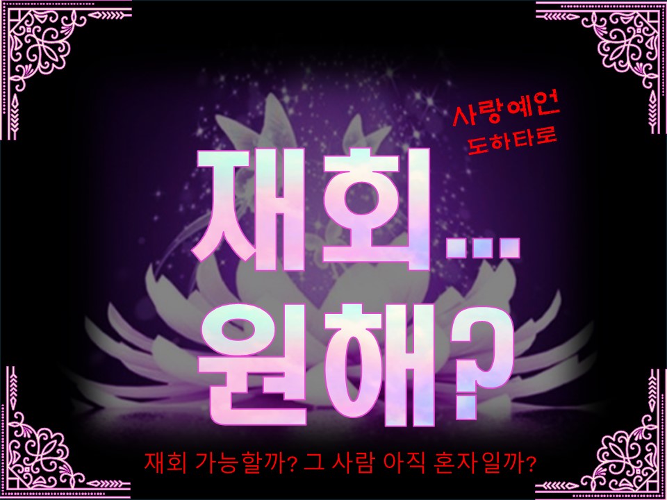 사랑예언도하타로 재회... 원해?