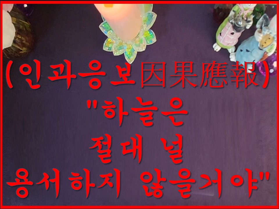 샐리타로 (인과응보因果應報) 날 이렇게 힘들게 하고도 잘 살수 있을거 같아!