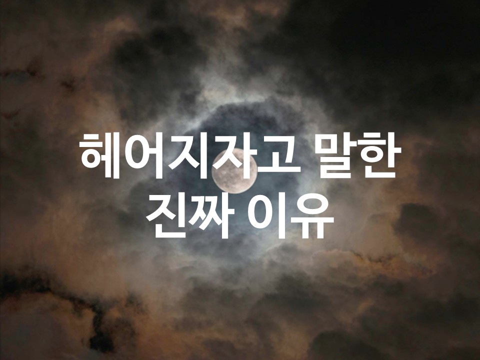 월하타로 헤어지자고 말한 진짜 이유