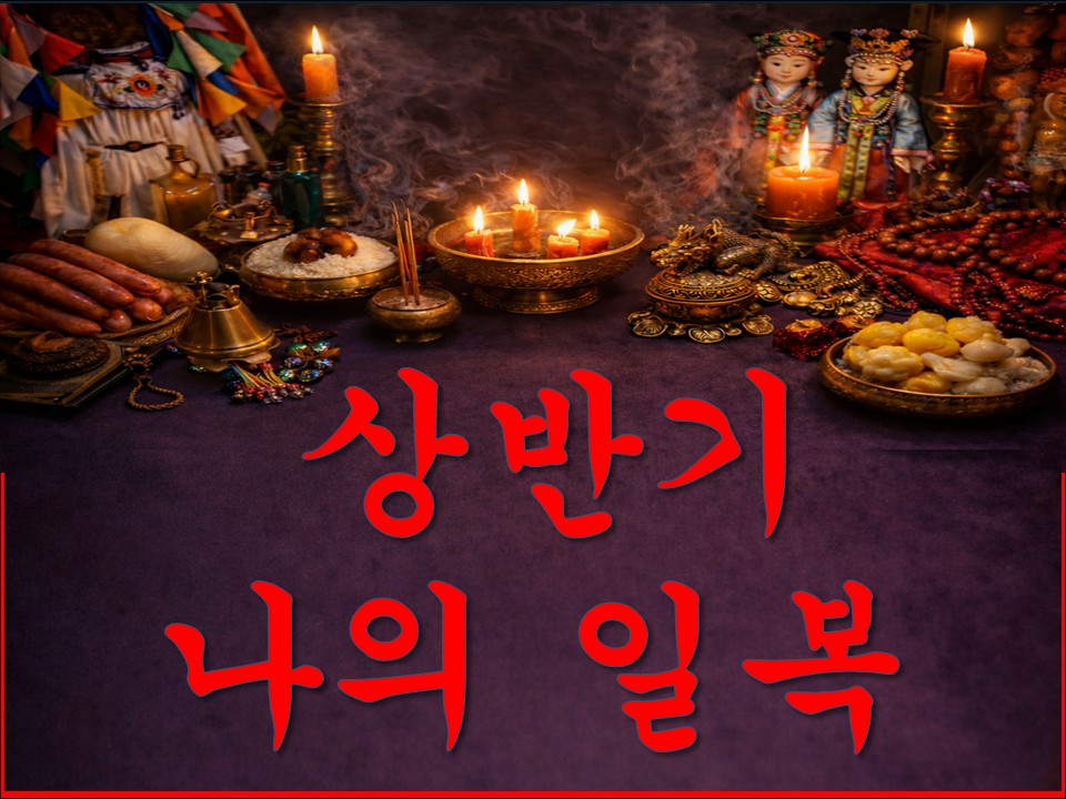 샐리타로 상반기 나의 일복 #샐리타로
