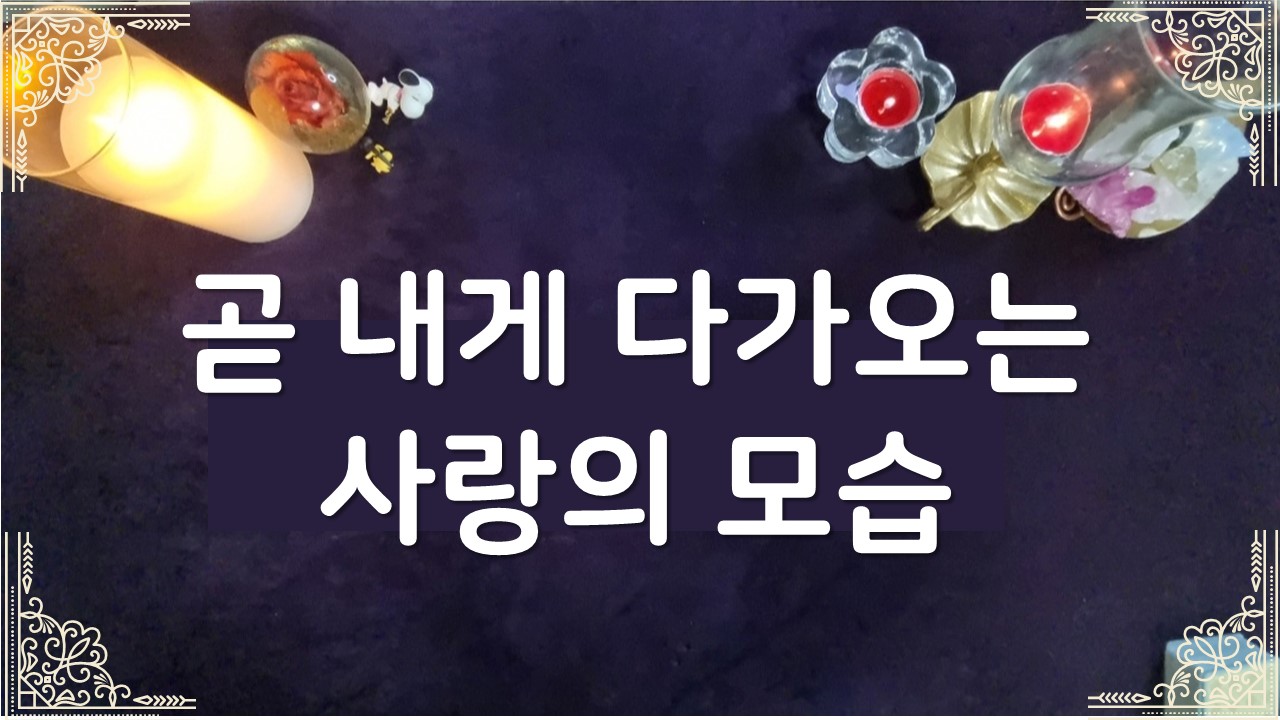 타로라포 🌸곧 내게 다가오는 사랑의 모습🌸#타로라포