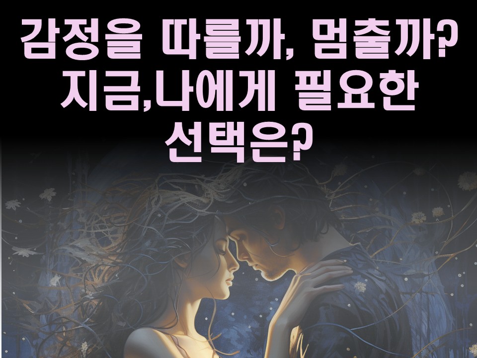 수월화타로 감정을 따를까, 멈출까? 지금,나에게 필요한 선택은?