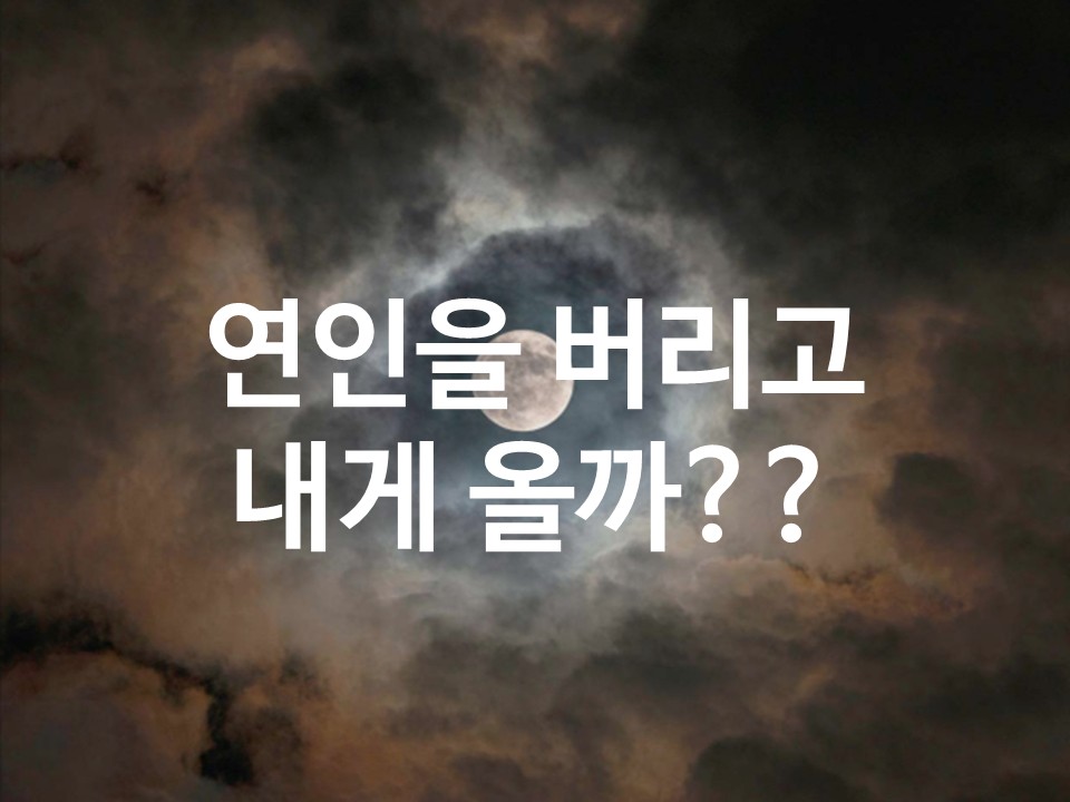 월하타로 연인을 버리고 내게 올까??