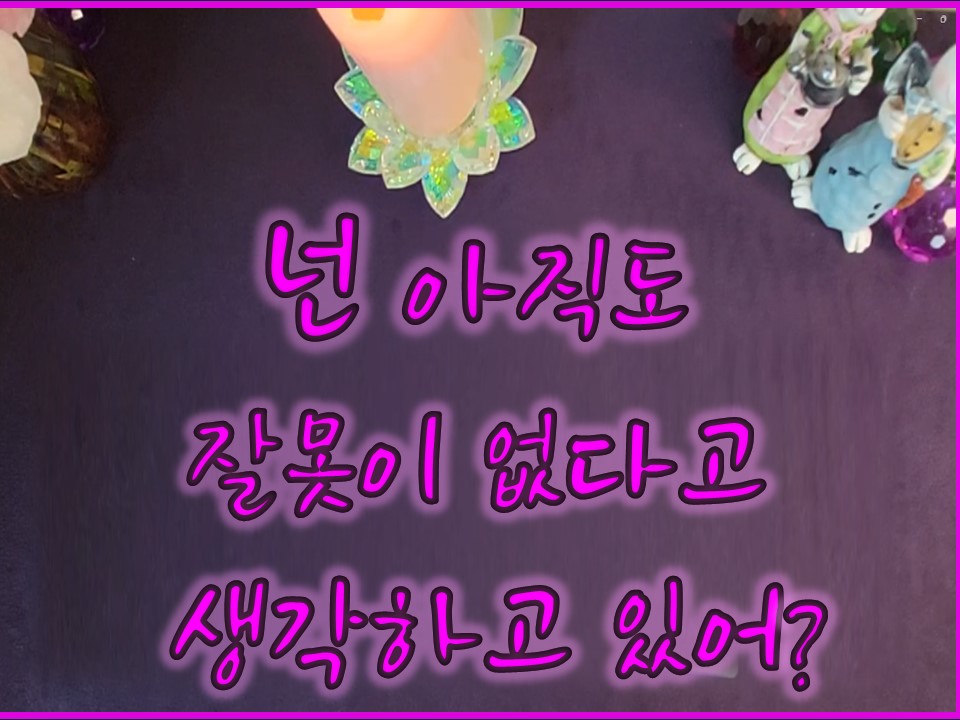샐리타로 넌 아직도 잘못이 없다고 생각하고 있어?