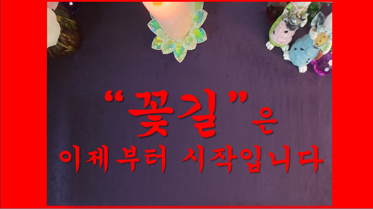 샐리타로 🌷🌼🌹꽃길🌷🌼🌹은 이제부터 시작입니다.