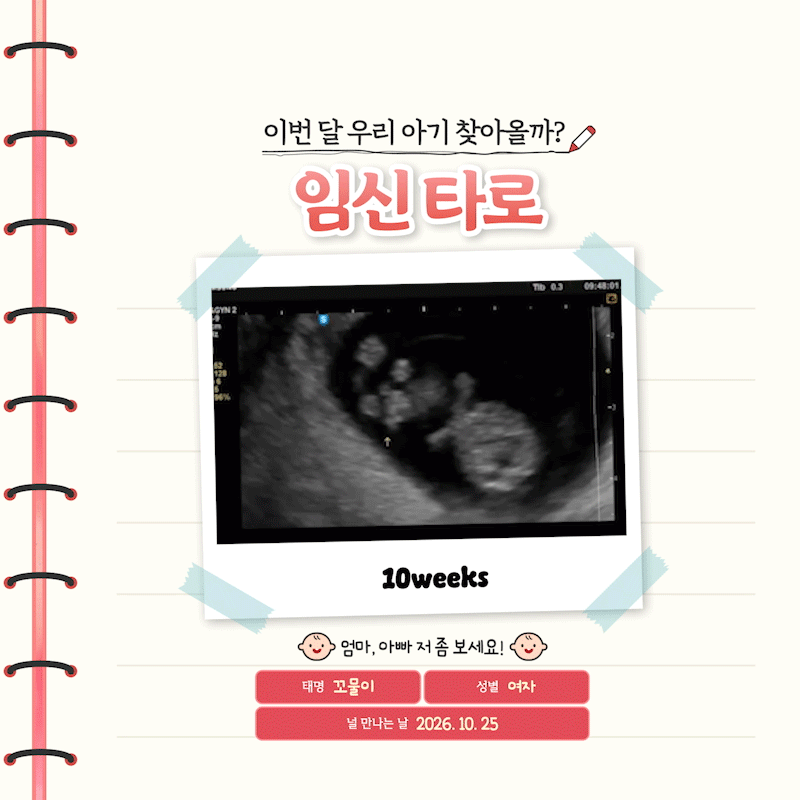 라마마 임신 타로: 이번 달 우리 아기 찾아올까?
