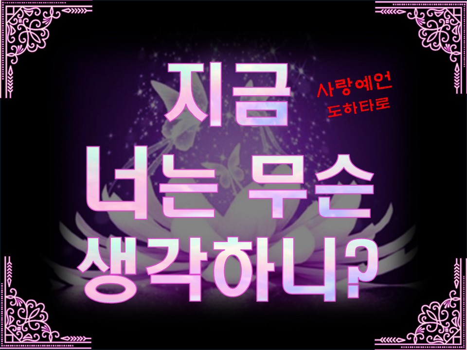 사랑예언도하타로 지금 너는 무슨 생각하니?(5개카드)